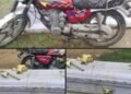 Police Arrest Cemetery Manager, Grave Digger for Exhuming Freshly Buried Corpse and Stealing Casket in Akwa Ibom