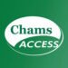 ChamsAccess CEO says transport fares squeeze online businesses