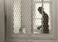 22-year-old South African man sentenced to 20 years in prison for r@ping his mother.