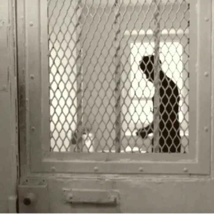 22-year-old South African man sentenced to 20 years in prison for r@ping his mother.