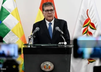 Bolivia orders state intervention as fuel shortage bites