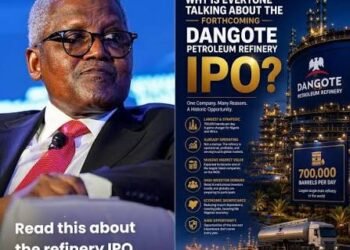 Beyond the Dangote IPO: What happens when the promise is tested