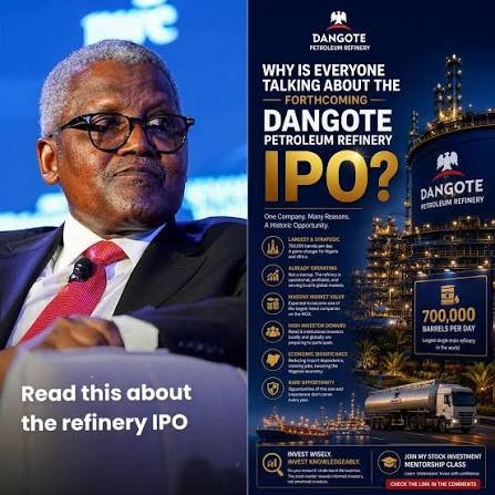 Beyond the Dangote IPO: What happens when the promise is tested