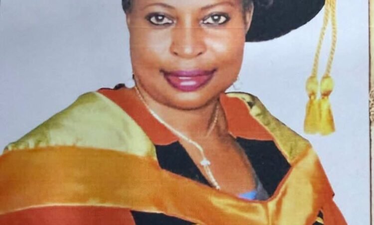 Sanwo-Olu appoints new Vice-Chancellor for LASU