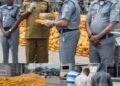 Customs hands over N3.95bn illicit drugs, mercury to NDLEA, NESREA