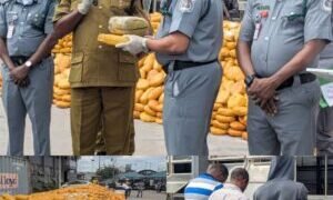 Customs hands over N3.95bn illicit drugs, mercury to NDLEA, NESREA