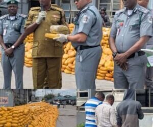 Customs hands over N3.95bn illicit drugs, mercury to NDLEA, NESREA