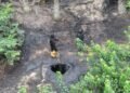 Navy recovers 182,000 ltrs of suspected stolen crude oil in Rivers