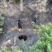 Navy recovers 182,000 ltrs of suspected stolen crude oil in Rivers