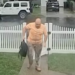 U.S. Man survives lightning strike captured on doorbell camera