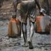 37 Suspected Oil Thieves Die After Inhaling Substance in Rivers