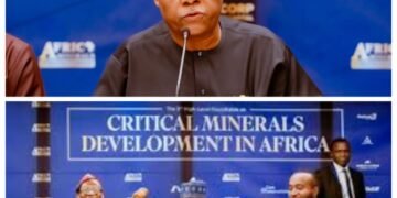 UNGA: Tinubu Urges Africa Leaders to Stop Exporting Raw Minerals