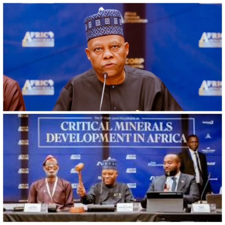 UNGA: Tinubu Urges Africa Leaders to Stop Exporting Raw Minerals