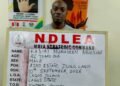 NDLEA intercepts colos shipments from UK, uncovers opioids in Lagos