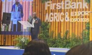 FirstBank Expo: Sanwo-Olu, Aiyedatiwa, Bago seek improved agricultural value chain