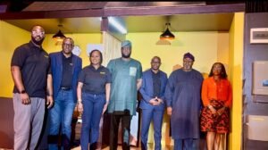 Distributed solar can bridge Nigeria’s 70m electricity access gap – Mission 300
