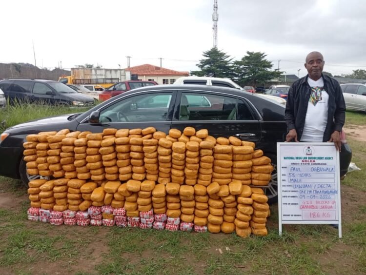 NDLEA intercepts colos shipments from UK, uncovers opioids in Lagos