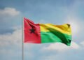 Guinea-Bissau approves new constitution that expands presidential powers