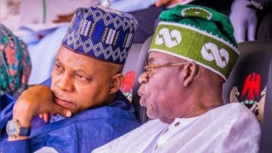 National Assembly set to appoint Shettima as Acting President