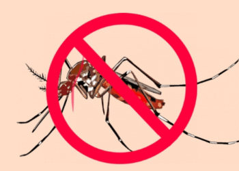 UNGA81: Nigeria, partners seek country-led AI adoption to accelerate malaria elimination