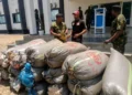 Navy hands over 19 bags of seized cannabis to NDLEA in Anambra