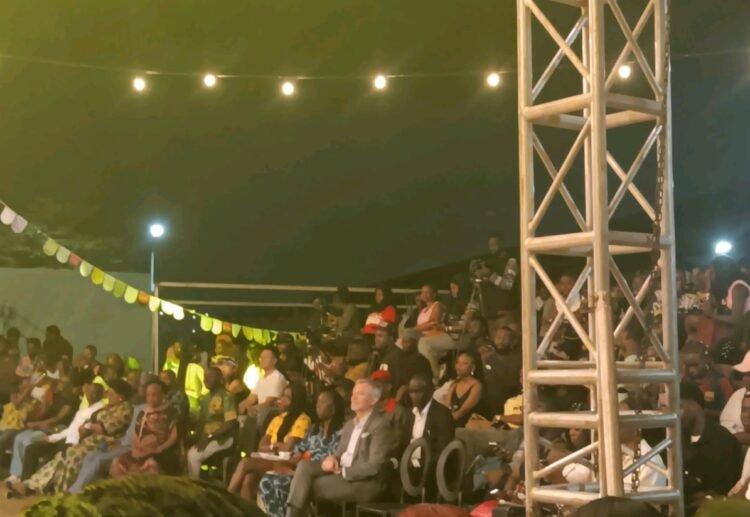 EU develops fresh projects to support Nigerian, African artists