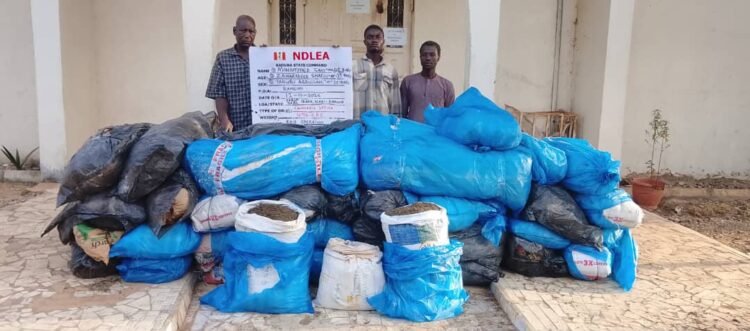 NDLEA intercepts N6.98bn tramadol shipment at Lagos port, foils saudi-Bound cannabis smuggling, arrests 85-year-old woman in nationwide raids