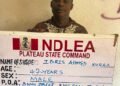 NDLEA intercepts N5bn loud, codeine consignments at ports