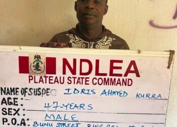 NDLEA intercepts N5bn loud, codeine consignments at ports