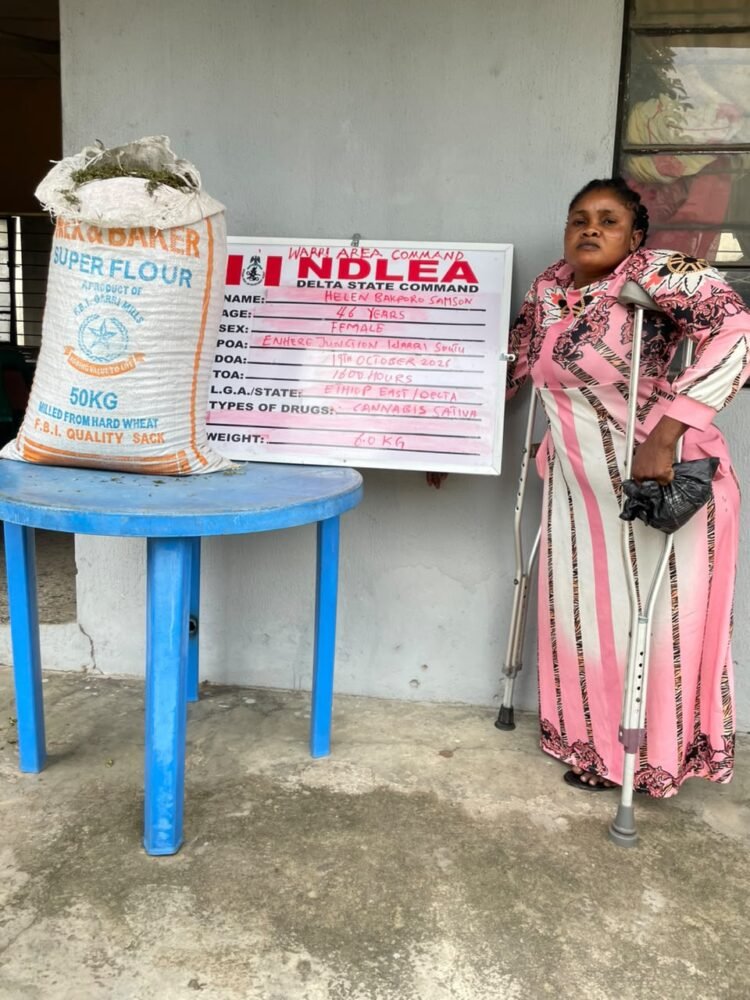 NDLEA arrests South African woman with 36.65kg cocaine, Nigerian-American grandmother with 9.45kg cannabis