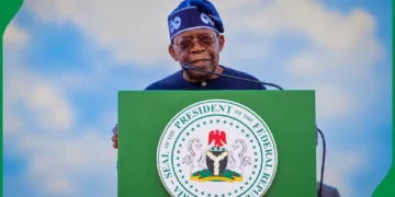 Tinubu to present 2027 budget before end of year – Presidency