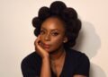 Chimamanda Adichie’s son’s death: Court rejects hospital’s bid to stop inquest