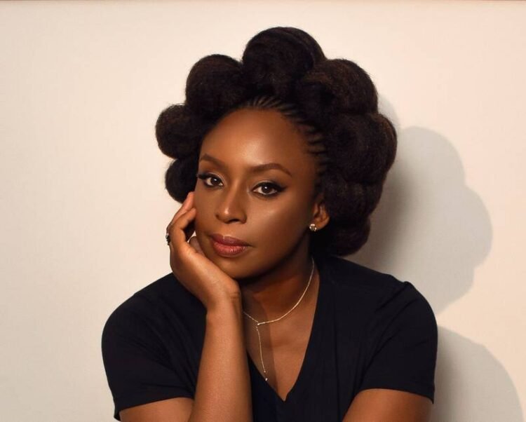 Chimamanda Adichie’s son’s death: Court rejects hospital’s bid to stop inquest