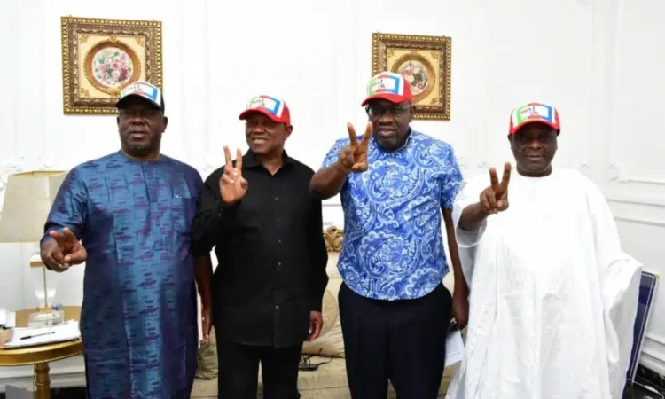 NDC announces date for NEC meeting, unveiling national campaign council