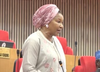 Senate slams Kingibe over claim of 25% income tax under APC
