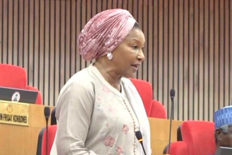 Senate slams Kingibe over claim of 25% income tax under APC