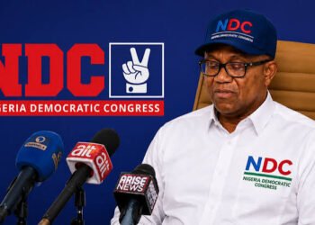 NDC postpones National Campaign Council inauguration to Oct. 26