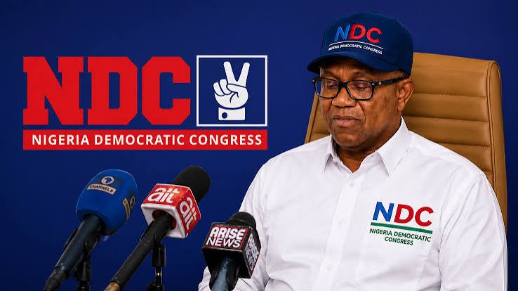 NDC postpones National Campaign Council inauguration to Oct. 26