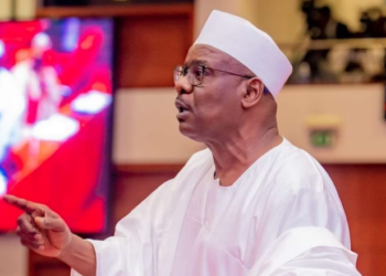 Why I joined politics – Senator Ali Ndume
