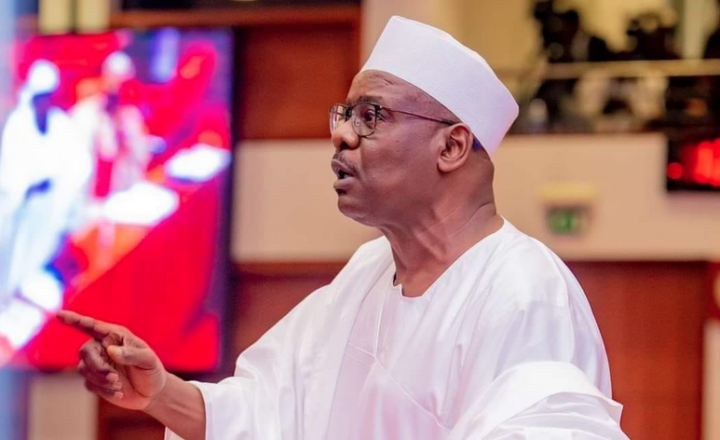 Why I joined politics – Senator Ali Ndume