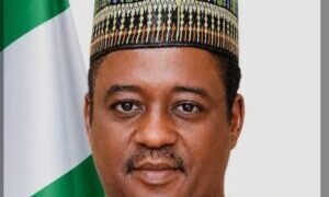FG approves national research, innovation fund