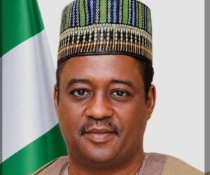 FG approves national research, innovation fund