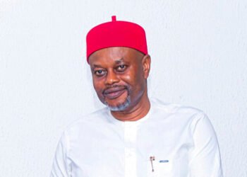 Enugu PDP governorship candidate Uche Nnaji in certificate forgery mess