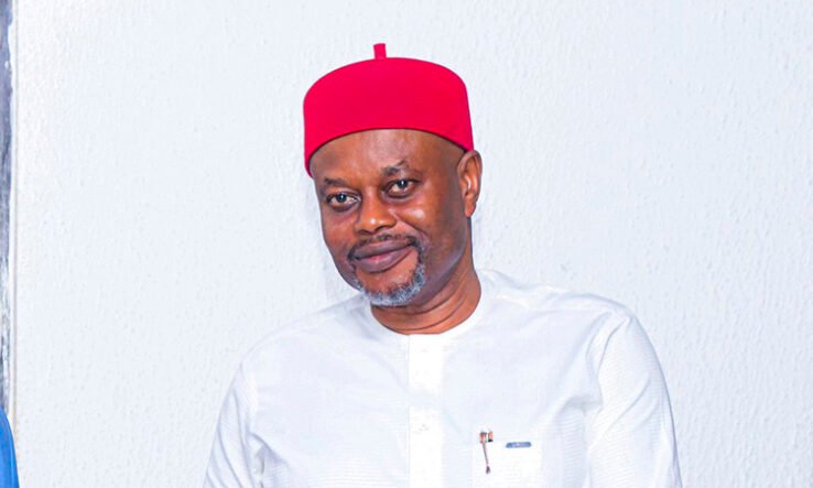 Enugu PDP governorship candidate Uche Nnaji in certificate forgery mess
