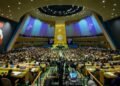 UN seeks $296bn annually to restore nature, as Africa rehabilitates 36m hectares