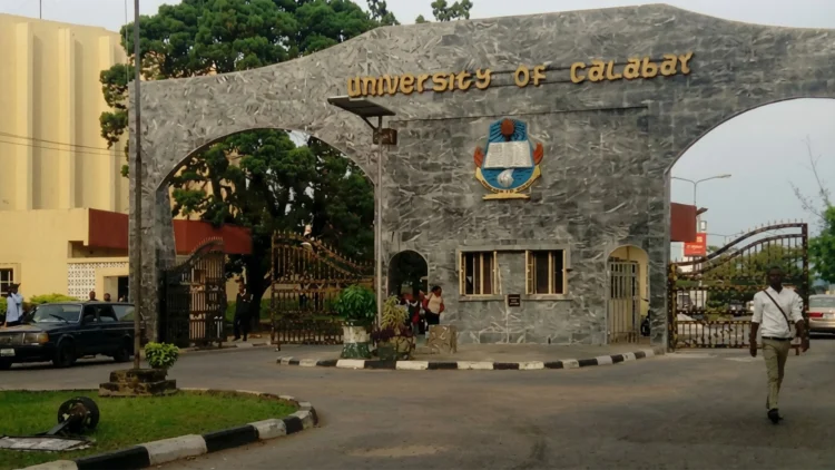 UNICAL dons make 2026 global top 2% scientists list