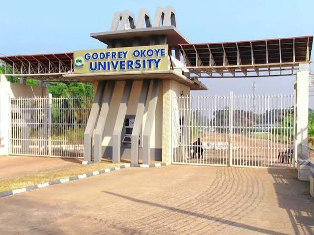 400-level medical student wins GOUNI VC for one day